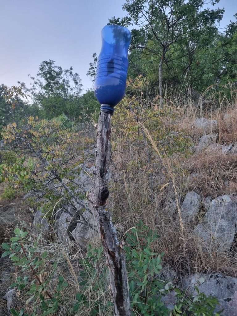 Lokve i sol za sitnu divljač